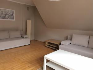 Apartament Centrum Zamoyskiego