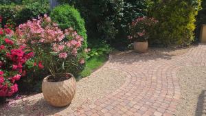 Maisons de vacances Superbe maison avec jardin magnifique! : photos des chambres