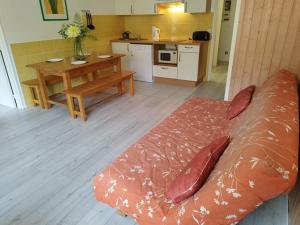 Appartement T2 cabine pour 8 pers, ski aux pieds, bien équipé, proche commerces et sports - FR-1-262-137