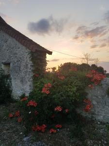 Maisons de vacances Maison de Charme sur Colline de La Roche Posay : photos des chambres