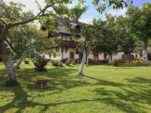 Osada Jeździecka Bata