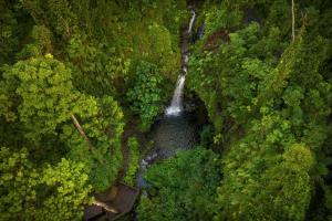 Bell Hall Road, Douglas Bay Cabrits National Park, Portsmouth, Dominica.