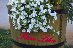 Two Bedroom Holiday Home with Terrace room in Holiday Home Stara Lika
