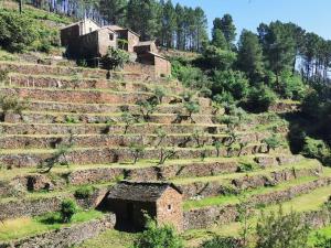 Les Combres, gîte nature avec piscine