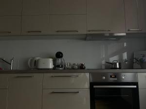 Riga RiverPark - One-Bedroom Apartment Near Downtown