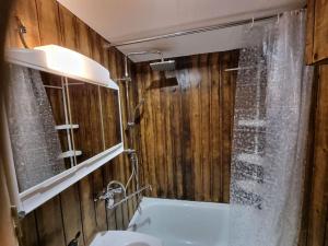 Studio 4 couchages dans un chalet tout confort