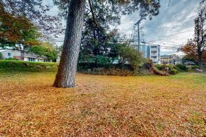 Town of Rehoboth Beach - 50A Olive Ave