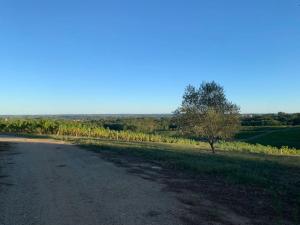 Maisons de vacances Gite au coeur du vignoble bordelais : photos des chambres