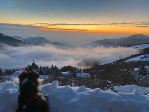 Panorama1200A, in the Heart of the San Fermo Hills