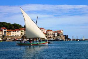 Appartements Studio Bon Dia/balcon/proche criques et Collioure : photos des chambres