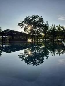 Hibiscus Garden - Isla Cebaco 