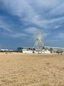 Appartements Appartement et cour St Jean de Monts +parking : Studio avec Canapé-Lit