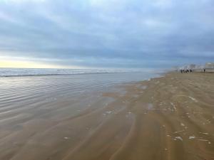 Appartements Appartement et cour St Jean de Monts +parking : photos des chambres