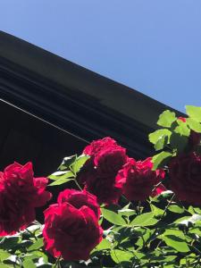 EL PARAISO DEL DESCANSO