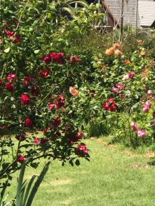 EL PARAISO DEL DESCANSO