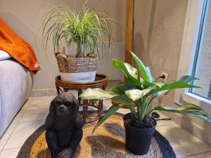 Appartements Jungle Street : photos des chambres