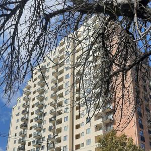 Sunny apartment hosted by Shorena