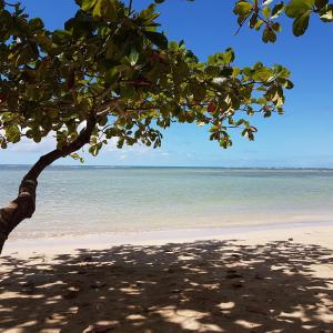 Trancoso Terravista Villa Floresta