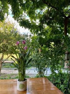 B&B La Fucinaia Pet Friendly Adults only