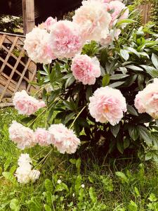 Cheerful 4-bedroom & kids friendly home