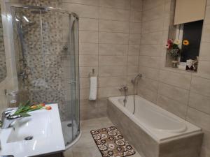 Cheerful 3 bedroom town house with garage free parking inside or outside with back yard and roof