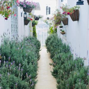 Lengkeng Da Lat Homestay