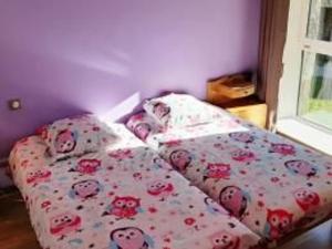 Gîte rénové idéal pour randos et astronomie, calme assuré, proche Puy-en-Velay et activités nature. - FR-1-582-318