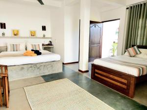 Chill House make a Good Story with infinite Ocean Surf and Stay