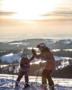 Apartmán Adam Deštné v Orlických horách