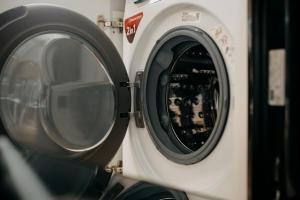 Coolis Apartments Șirul Livezii