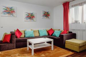 Coolis Apartments Șirul Livezii