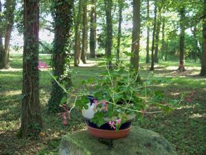 B&B / Chambres d'hotes Le Pre Karvain : photos des chambres