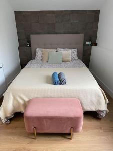 Maisons de vacances Belle Maison Basque 12 Personnes : photos des chambres