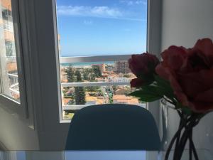 Bright studio apt. with sea view and pool