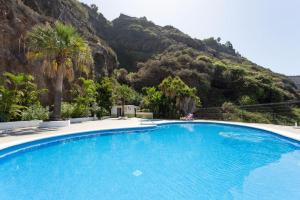 Toucans Nest: Landing in Paradise