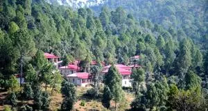 Majkhali Woods, Ranikhet, By Himalayan Eco Lodges - Ranikhet