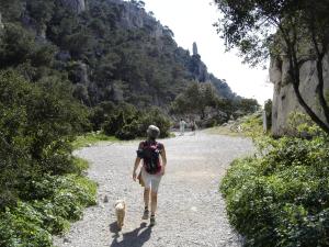 Maisons de vacances 