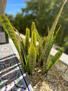 City Center Marbella Apartment - EaW Homes