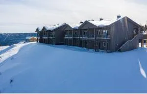Best summer deals! Beat the heat! Beautiful Apartment at Skagahøgdi with Panoramic View