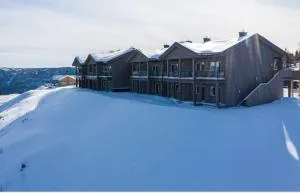Perfect moutain getaway! Beautiful Apartment at Skagahøgdi with Panoramic View - Nesbyen