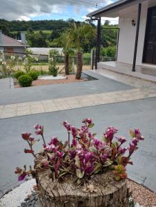 Pousada Somenzi, próximo a Miolo