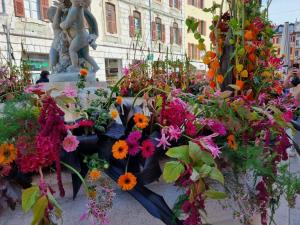 Appartements Le manege : photos des chambres
