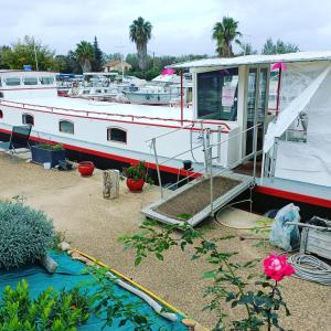 Sejours chez l'habitant PENICHE FARNIENTE CLIMATISEE - Aux Portes de la Camargue : photos des chambres
