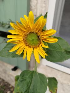 Maisons d'hotes Au Clos des Figues : photos des chambres