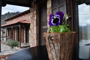 Paliokastro Guesthouse