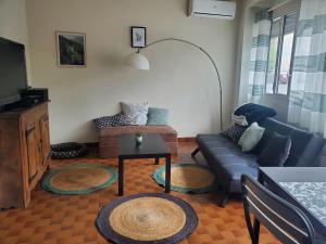 Dolphins House