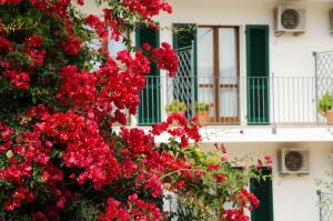 Hotel Angedras img21