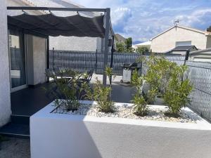 Appartements Appartement d'une chambre avec piscine partagee jardin clos et wifi a Cervione : photos des chambres