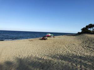 Appartement convivial à Cervione, 35 m², piscine partagée