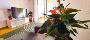 Apartamento Radazul Sea View - Radazul